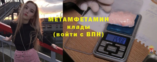 прущие грибы Лабытнанги