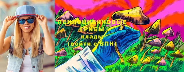 круглые Лагань