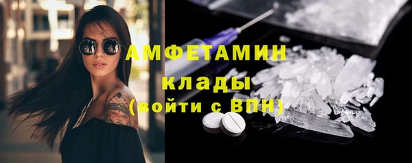 прущие грибы Лабытнанги