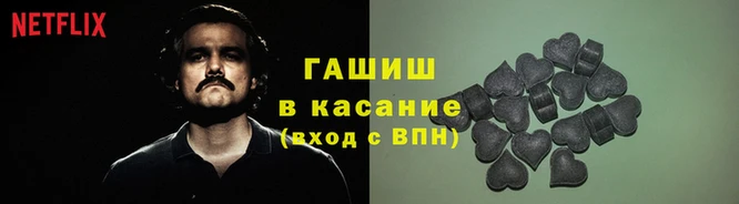 прущие грибы Лабытнанги
