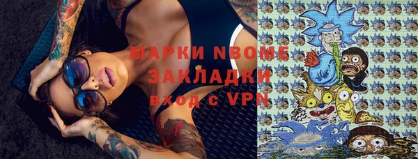 прущие грибы Лабытнанги