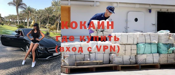 прущие грибы Лабытнанги