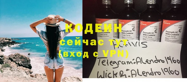 прущие грибы Лабытнанги