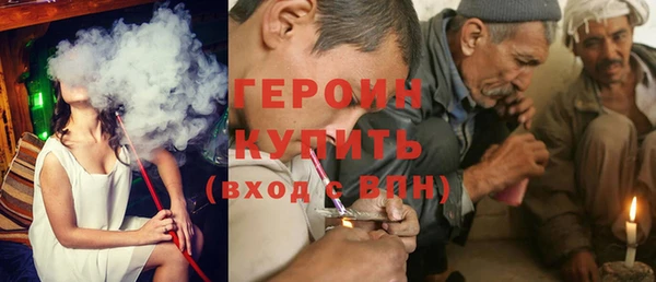 прущие грибы Лабытнанги