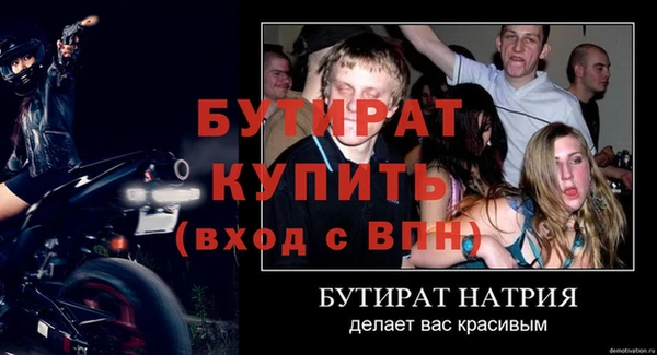 прущие грибы Лабытнанги